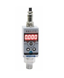 威斯特中航  CYB-20S-K1 系列電子壓力開(kāi)關(guān)